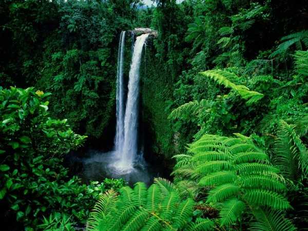 водопад Фуиписиа на Самоа